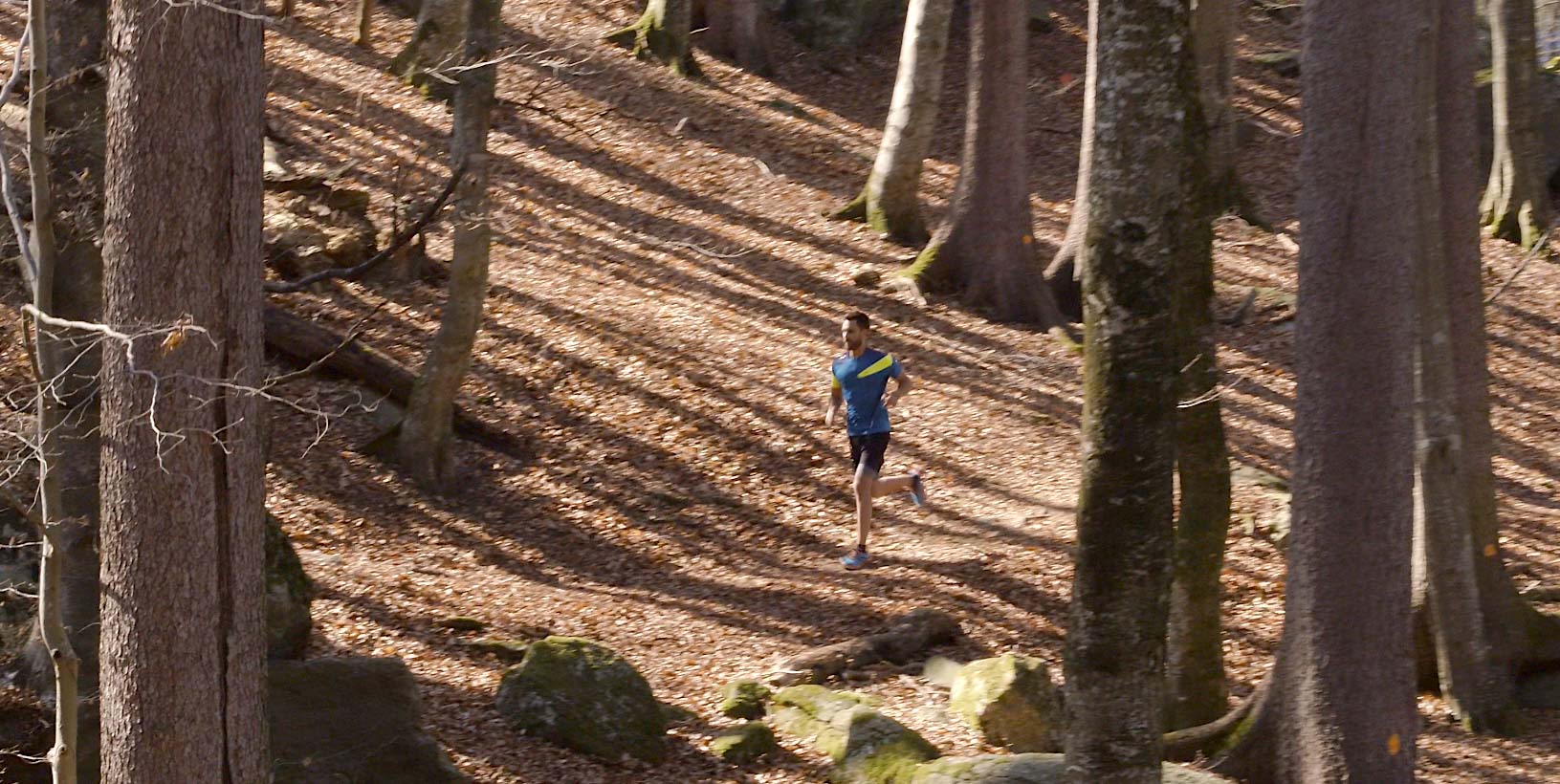 Travelling par drone avec coureur dans forêt