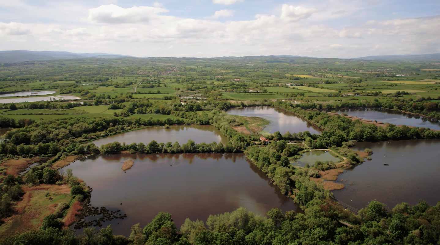 Etangs de la plaine du Forez Loire film aérien drone