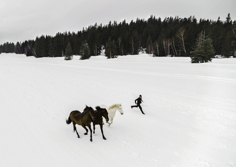 Chevaux qui court dans la neige en montagne vu par drone