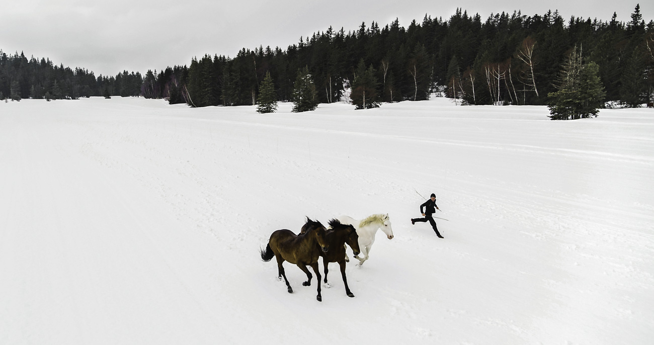 Chevaux qui court dans la neige en montagne vu par drone