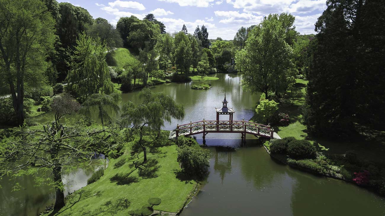 Jardin dans forêt vu par drone